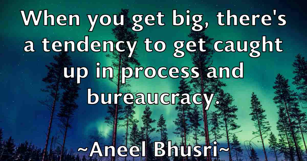 /images/quoteimage/aneel-bhusri-fb-46766.jpg