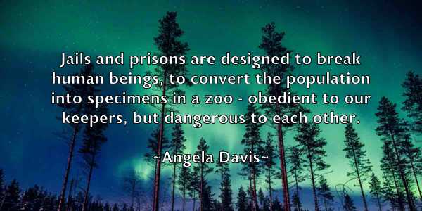 /images/quoteimage/angela-davis-47424.jpg