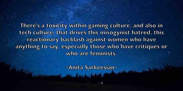 /images/quoteimage/anita-sarkeesian-49460.jpg