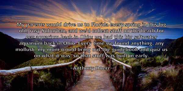 /images/quoteimage/anthony-doerr-55941.jpg