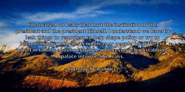 /images/quoteimage/anthony-scaramucci-57265.jpg