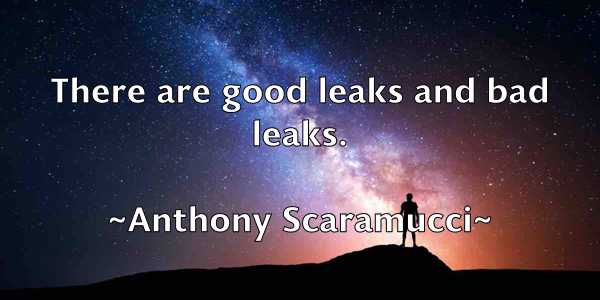 /images/quoteimage/anthony-scaramucci-57280.jpg