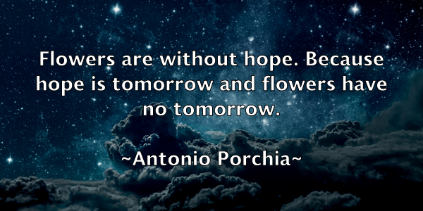 /images/quoteimage/antonio-porchia-58873.jpg