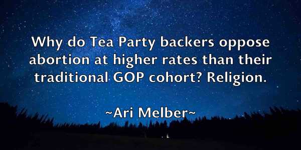 /images/quoteimage/ari-melber-61348.jpg