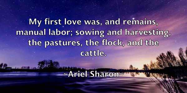 /images/quoteimage/ariel-sharon-61887.jpg