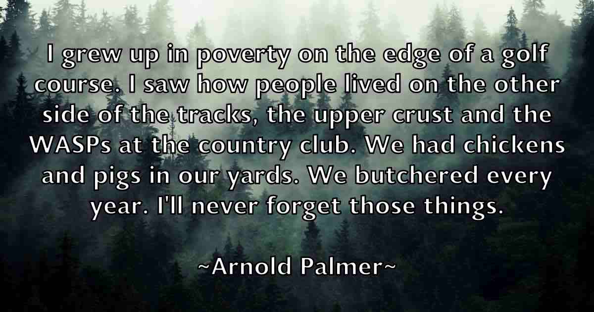 /images/quoteimage/arnold-palmer-fb-63163.jpg