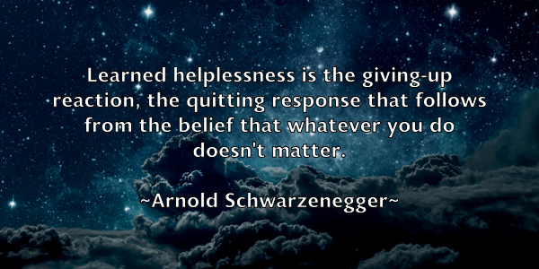 /images/quoteimage/arnold-schwarzenegger-63225.jpg