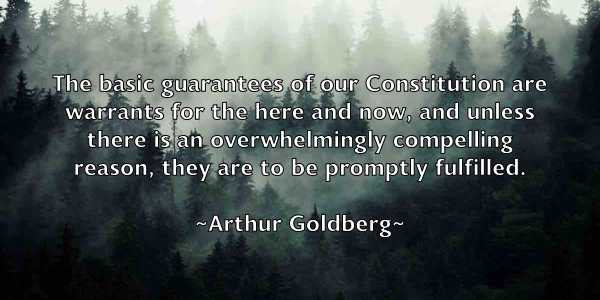 /images/quoteimage/arthur-goldberg-63982.jpg