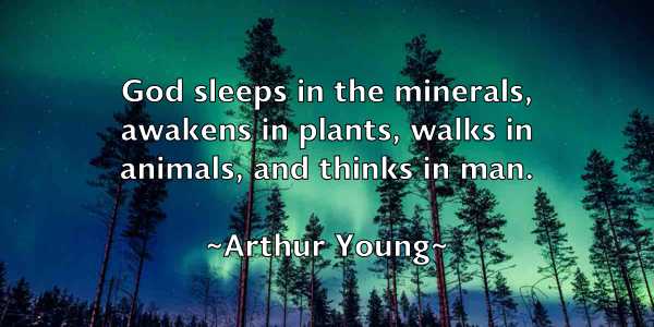 /images/quoteimage/arthur-young-64615.jpg