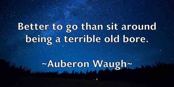 /images/quoteimage/auberon-waugh-69088.jpg