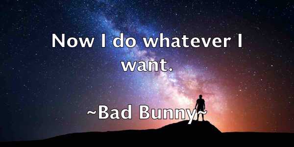 /images/quoteimage/bad-bunny-72734.jpg