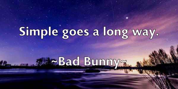 /images/quoteimage/bad-bunny-72735.jpg