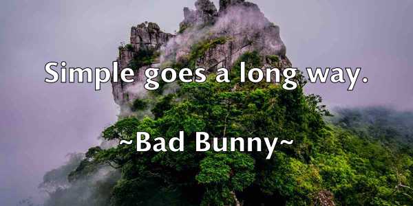 /images/quoteimage/bad-bunny-72735.jpg