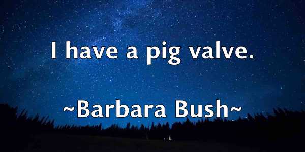 /images/quoteimage/barbara-bush-74076.jpg