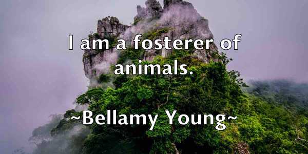 /images/quoteimage/bellamy-young-79349.jpg