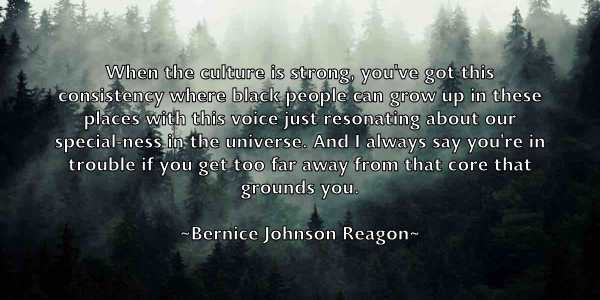 /images/quoteimage/bernice-johnson-reagon-85277.jpg