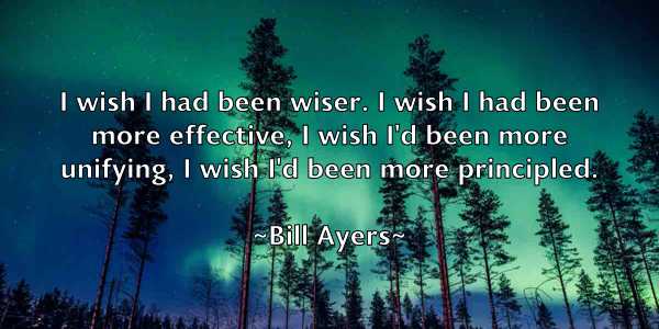 /images/quoteimage/bill-ayers-89312.jpg