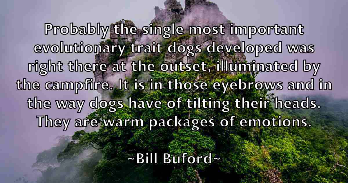 /images/quoteimage/bill-buford-fb-89751.jpg