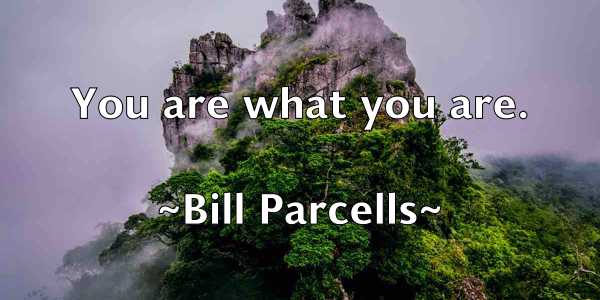 /images/quoteimage/bill-parcells-92443.jpg