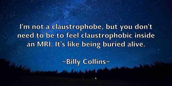 /images/quoteimage/billy-collins-93807.jpg