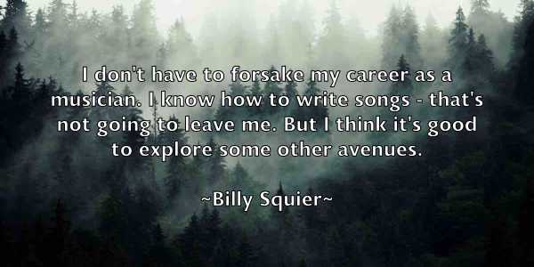 /images/quoteimage/billy-squier-95002.jpg