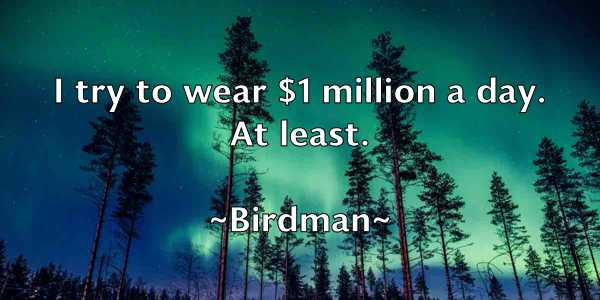 /images/quoteimage/birdman-birdman-95507.jpg