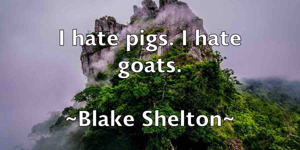 /images/quoteimage/blake-shelton-96914.jpg