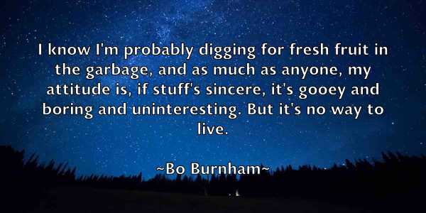 /images/quoteimage/bo-burnham-97395.jpg