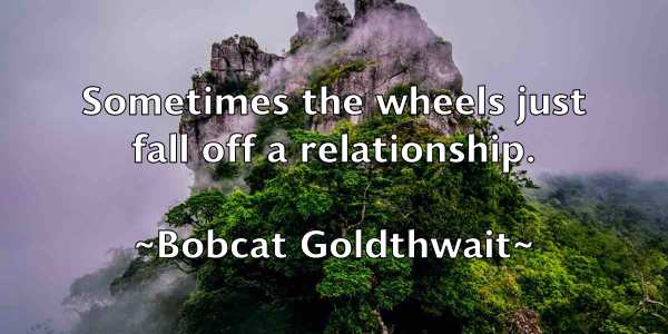 /images/quoteimage/bobcat-goldthwait-100979.jpg