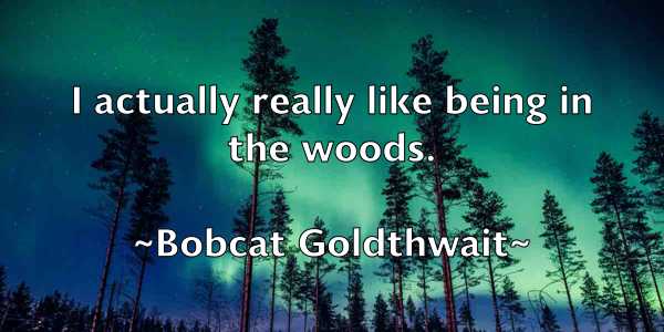 /images/quoteimage/bobcat-goldthwait-100980.jpg