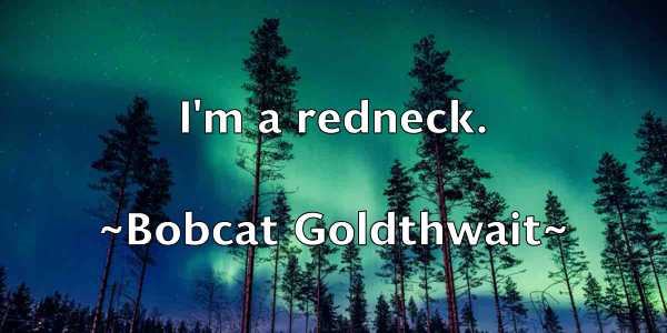 /images/quoteimage/bobcat-goldthwait-101052.jpg