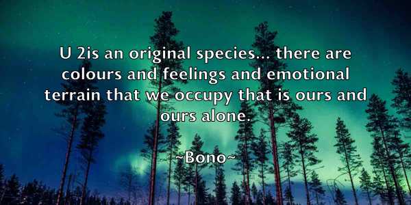 /images/quoteimage/bono-bono-101960.jpg