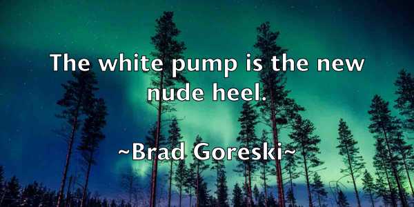 /images/quoteimage/brad-goreski-103630.jpg