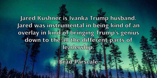 /images/quoteimage/brad-parscale-104214.jpg