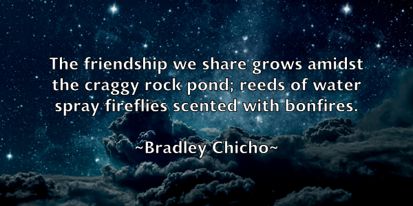 /images/quoteimage/bradley-chicho-104747.jpg