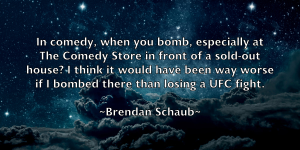 /images/quoteimage/brendan-schaub-106809.jpg