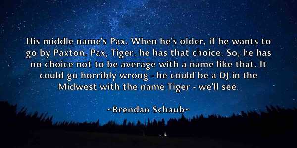 /images/quoteimage/brendan-schaub-106815.jpg