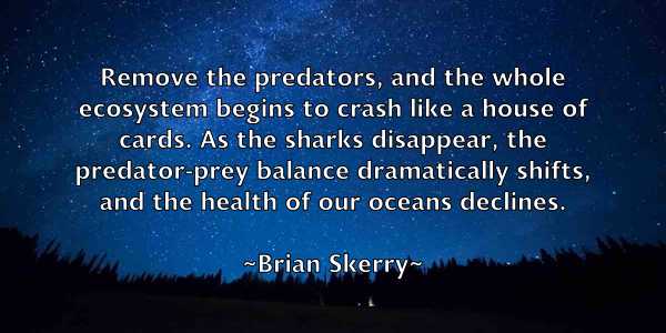 /images/quoteimage/brian-skerry-110319.jpg