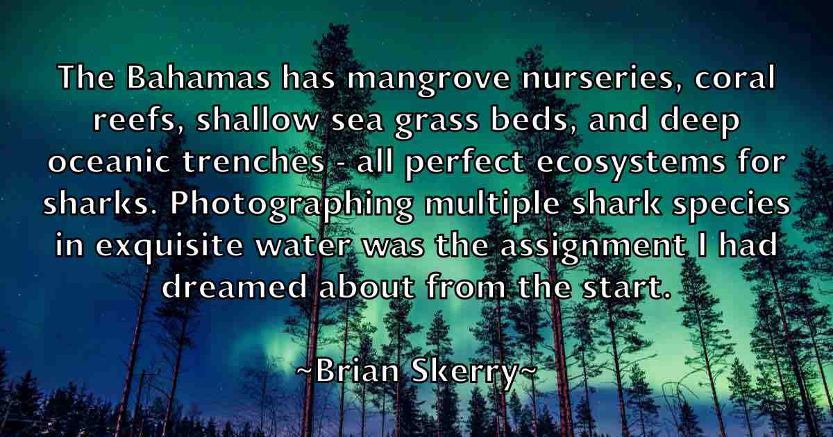 /images/quoteimage/brian-skerry-fb-110321.jpg
