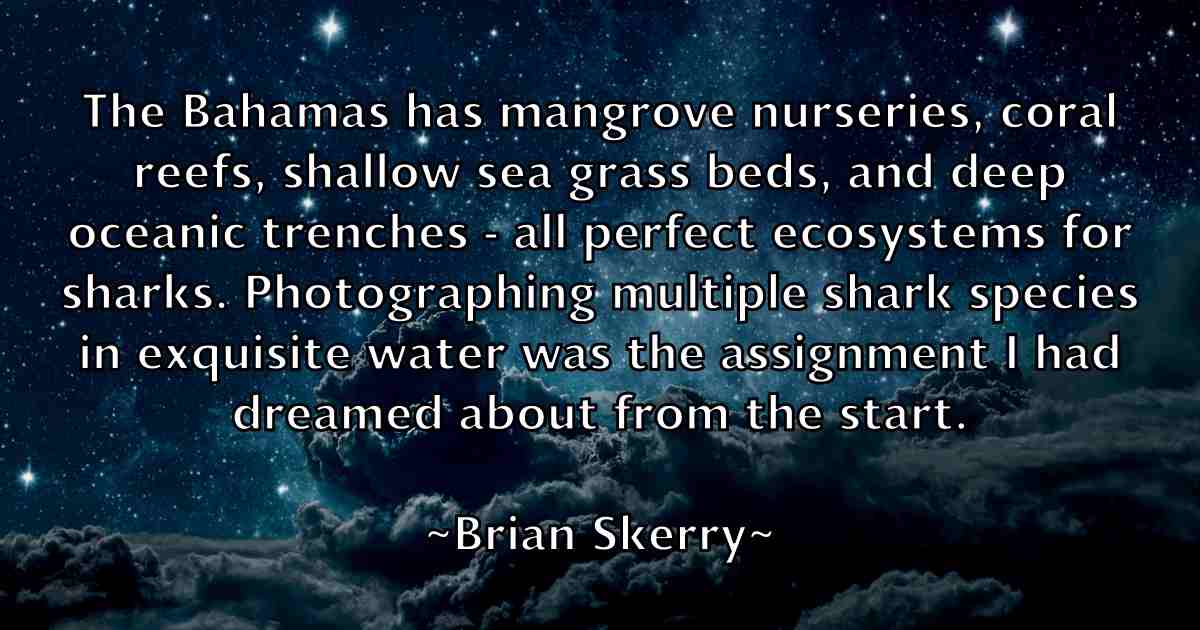 /images/quoteimage/brian-skerry-fb-110321.jpg