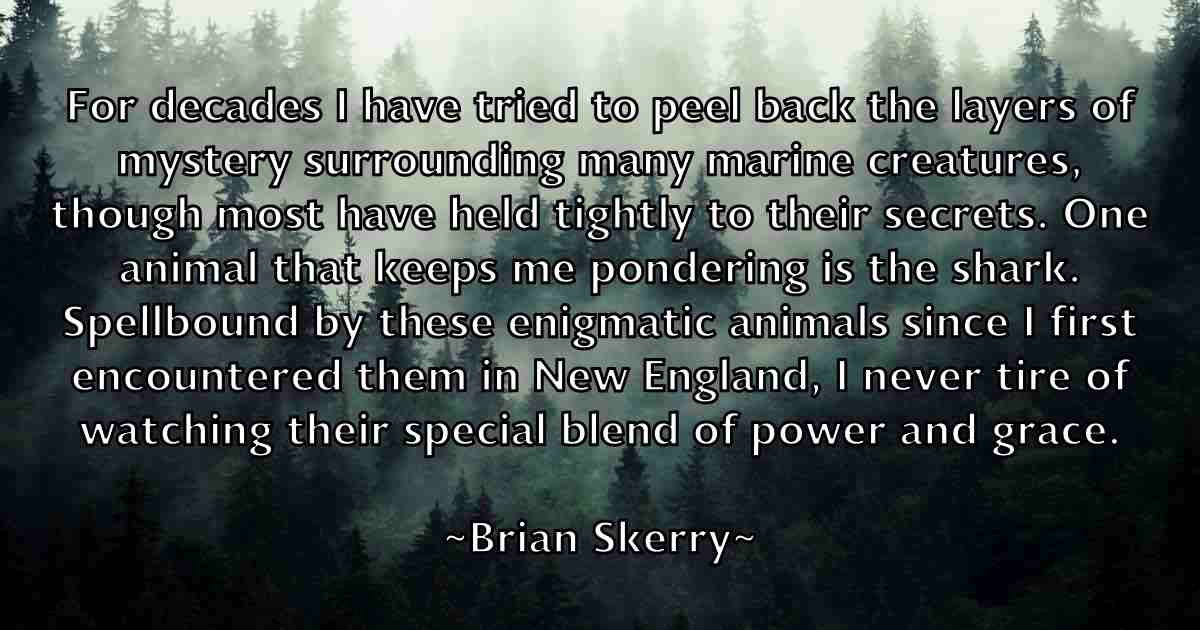 /images/quoteimage/brian-skerry-fb-110327.jpg