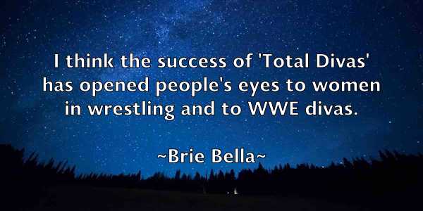 /images/quoteimage/brie-bella-111159.jpg