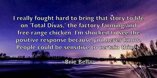 /images/quoteimage/brie-bella-111177.jpg