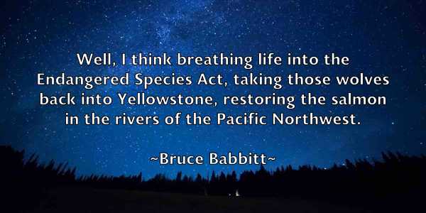 /images/quoteimage/bruce-babbitt-113261.jpg