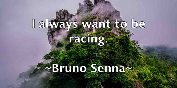 /images/quoteimage/bruno-senna-114744.jpg