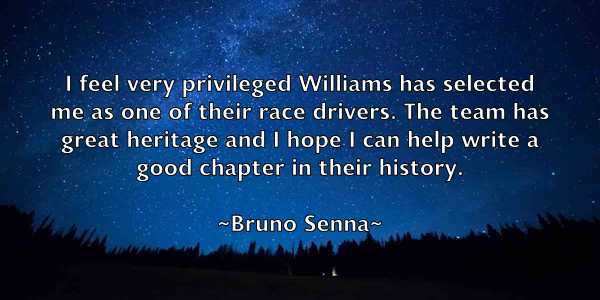 /images/quoteimage/bruno-senna-114745.jpg
