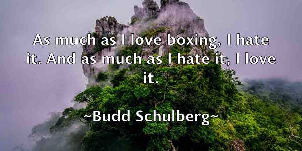/images/quoteimage/budd-schulberg-116176.jpg