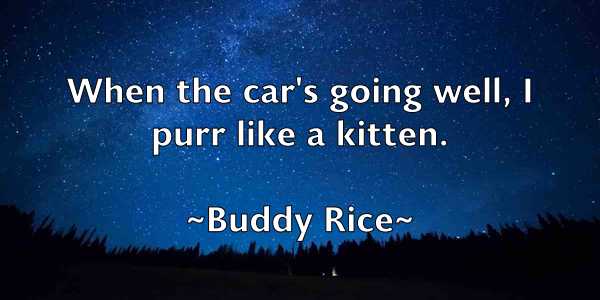 /images/quoteimage/buddy-rice-116311.jpg