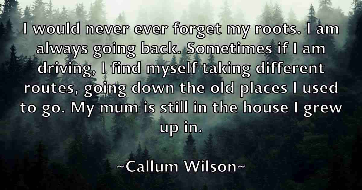/images/quoteimage/callum-wilson-fb-118748.jpg
