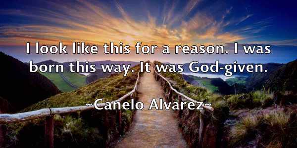 /images/quoteimage/canelo-alvarez-120979.jpg